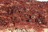 Massive, Plate of Ruby Red Vanadinite Crystals - Morocco #196366-4